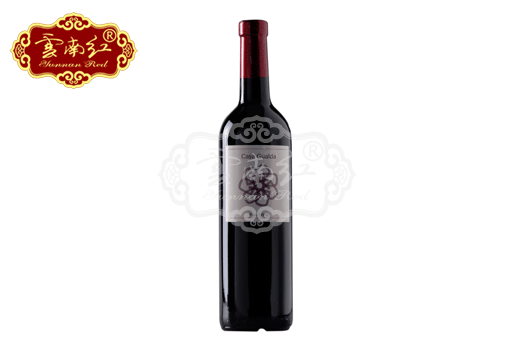 2006�ص������Ѿ�