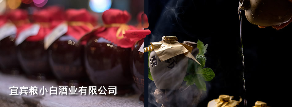 宜宾粮小白酒业有限公司