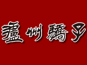 �Ĵ����ݽ��Ӿ�ҵ���޹�˾