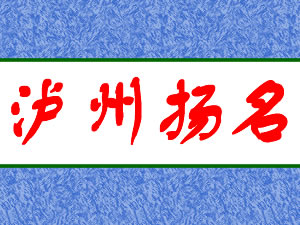 泸州扬名酒业有限公司