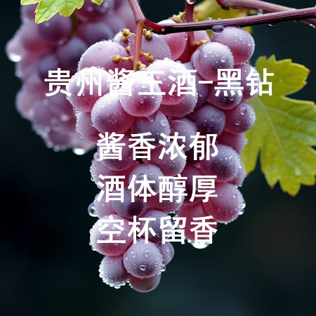 ���ݽ�����-����