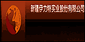 �½�������ʵҵ�ɷ����޹�˾