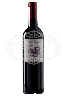 2006�ص������Ѿ�