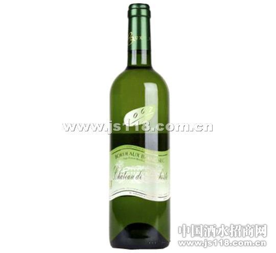 ���˹��2010�겨����