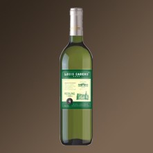 ·�׿���2004�ɰ�
