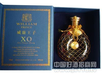 ��������xo2
