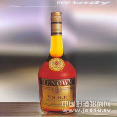 vsop������