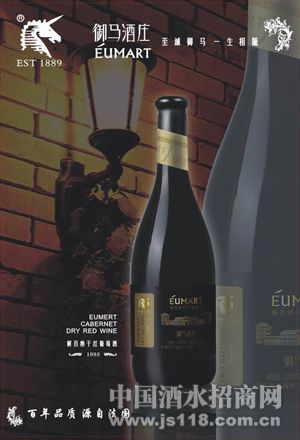 ����ɣ�CABERNET��-1995