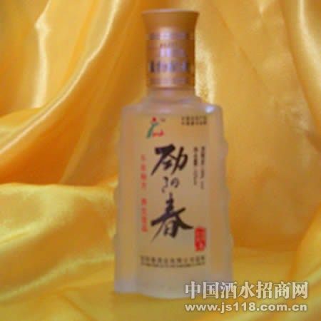 劲阳春彩页