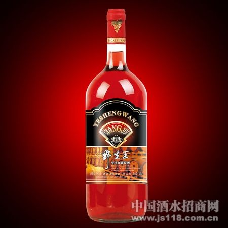 Ұ����ȫ֭�����Ѿ�A100 1.5L6ƿ