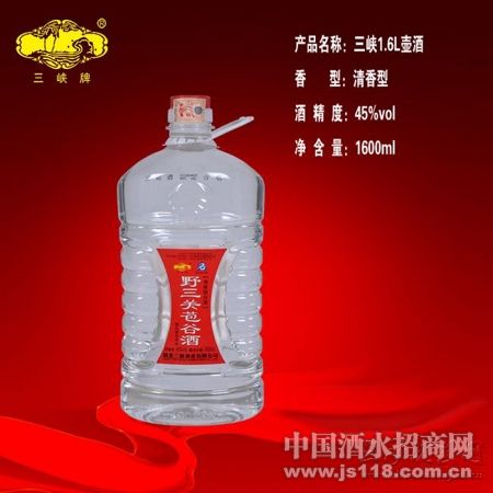 ��Ͽ1.6L����