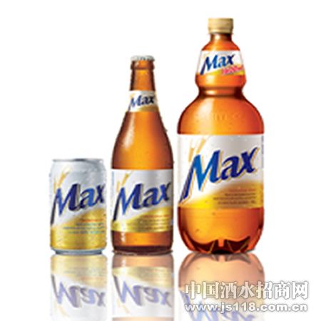 MAX ��˼ơ��