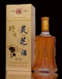 野生灵芝酒