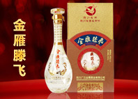 金雁滕飞