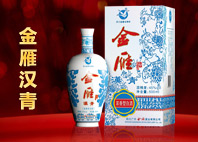 金雁汉青