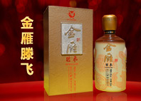 金雁滕飞