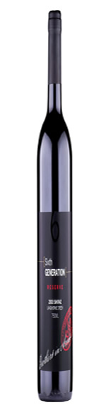 Sixth Generation 2003 Shiraz