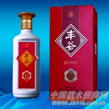丰谷V3荣誉
