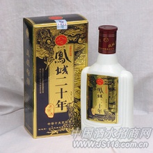 凤城二十年