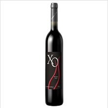 2009��ʿXO ������