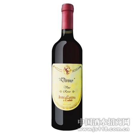 Divino��άŵ�ɺ����Ѿ�