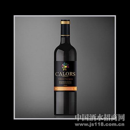 �ڱ�2008��ϼ��ɺ�