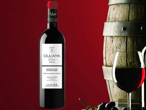 ŷ����ׯ԰2009��ϼ��