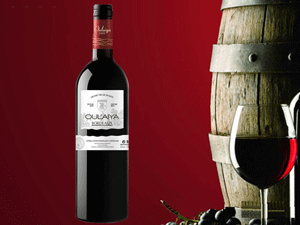 ŷ����ׯ԰2009����