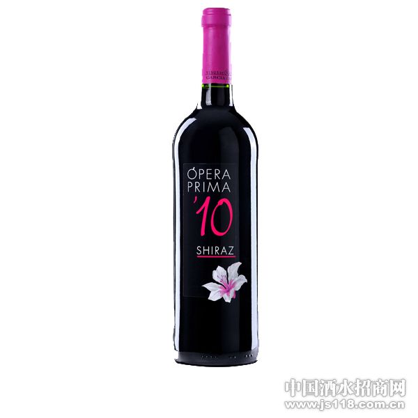 �����Ӹɺ����Ѿ� 2010