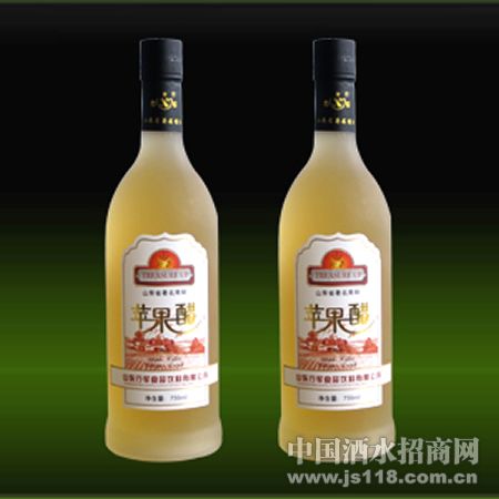 珍藏双瓶苹果醋