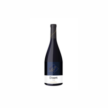 SHIRAZ