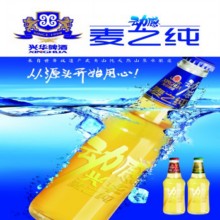 动感兴华麦之纯