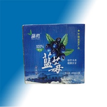 ��ݮ������棩2