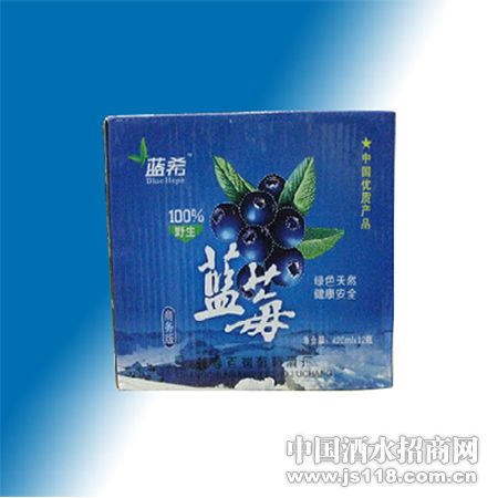 ��ݮ������棩2
