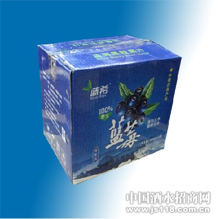 ��ݮ������棩3