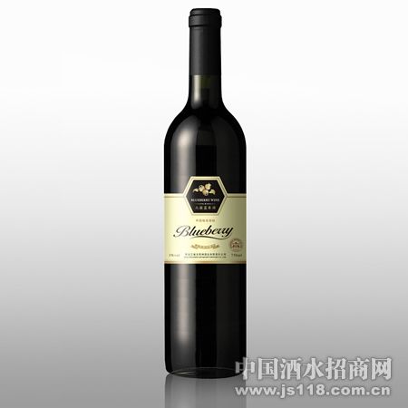 ������ݮ��