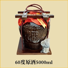 60��ԭ��5000ml