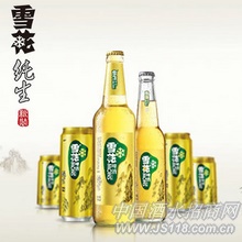ѩ������