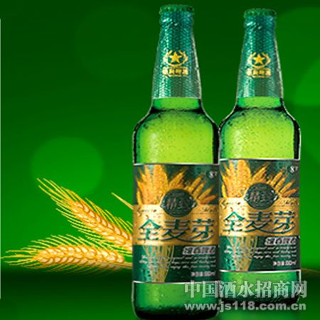 维真啤酒.精致全麦