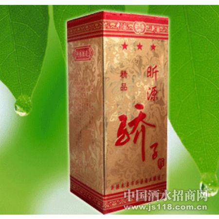 �Դ���Ӿ�(��װ1)