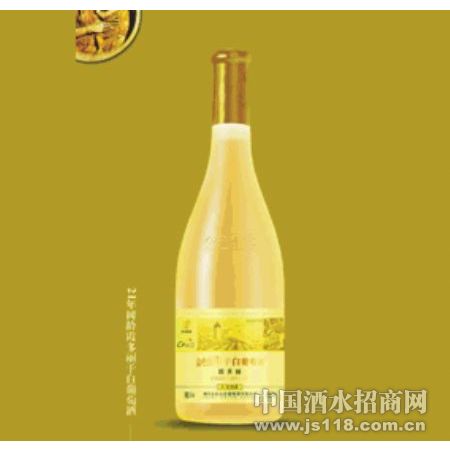 21������ϼ�����ɰ����Ѿư�װ3