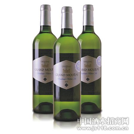 ĽҰ˹2010�ɰ����Ѿ�