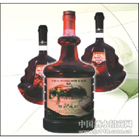 ͨ�������ҵϵ��12
