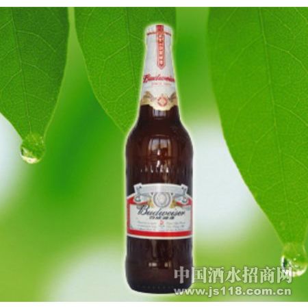 ����ơ��580ml(2)