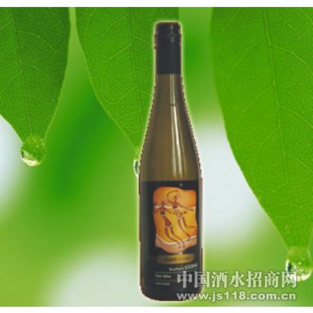 2005 �Ϸ����� ��ѡ��˾�� �����Ѿ�
