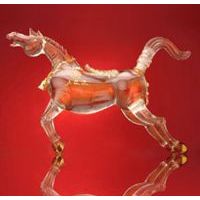 五粮液仰天长啸(2)
