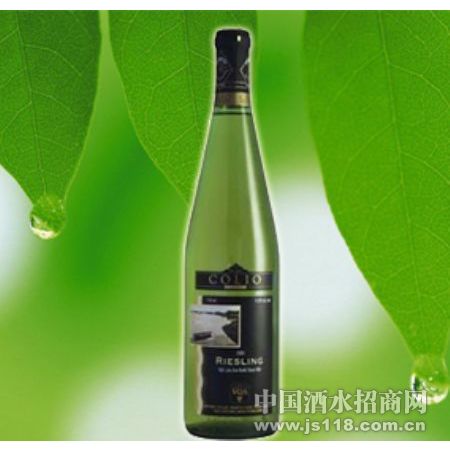 ޲˿�հ����Ѿ�