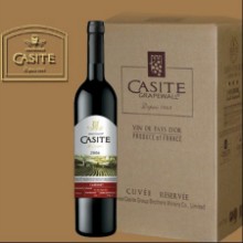����CASITE���塤����˹�Ѳ�&reg;2006