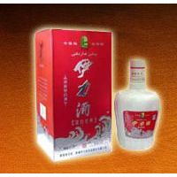 伊力特5