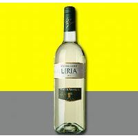 IRIA����櫳Ǳ��ɰ����Ѿ�2007